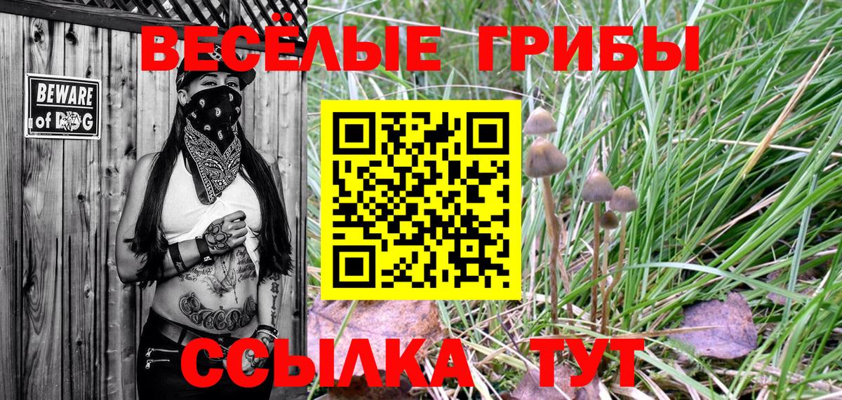 Волгоград  Псилоцибиновые грибы Psilocybine cubensis  где можно купить наркотик  Вход с VPN 
