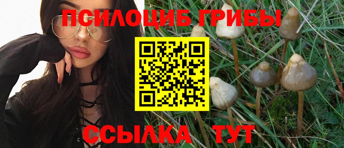 Псилоцибиновые грибы мицелий Волгоград